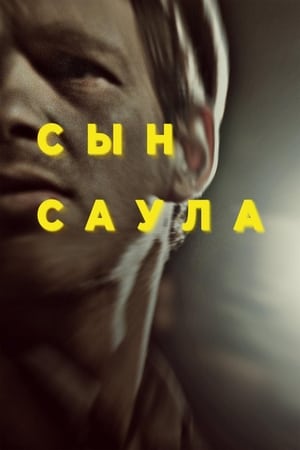 Poster Сын Саула 2015