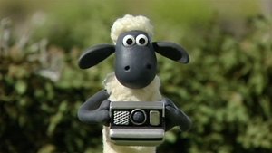 Shaun the Sheep Season 1 Episode 15