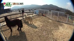 My Little Old Boy: 1×269