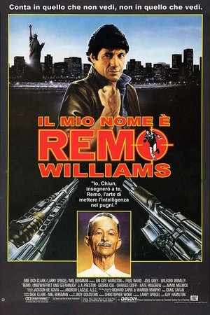 Il mio nome è Remo Williams 1985