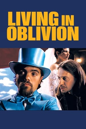 Click for trailer, plot details and rating of Living In Oblivion (1995)
