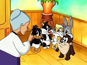 Baby Looney Tunes: 1×2