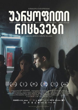 poster_უარყოფითი რიცხვები