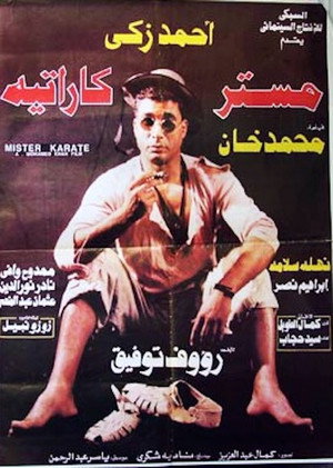 Mr. Karate 5
