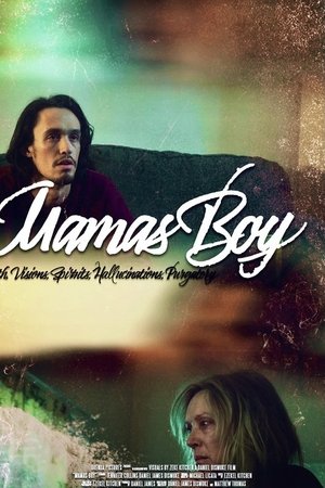 Poster Mama's Boy (2021)