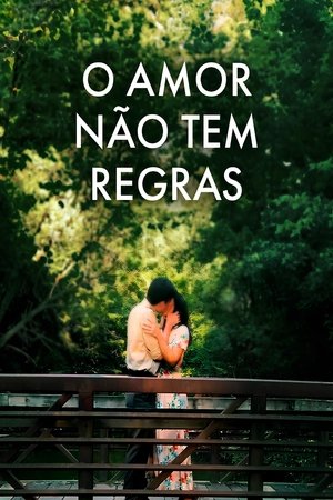 O Amor Não Tem Regras - Poster