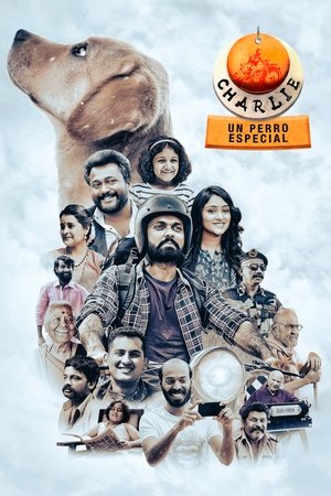 Image Charlie: Un Perro Especial