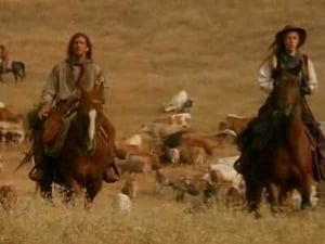 Dr. Quinn, Medicine Woman The Cattle Drive (1)