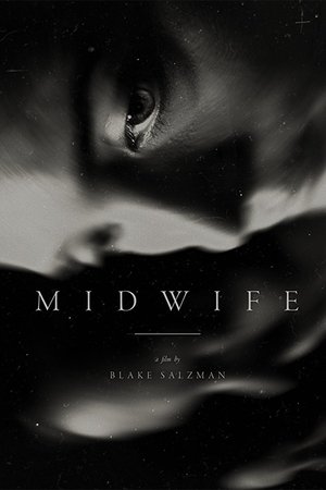 Poster Midwife (2016)