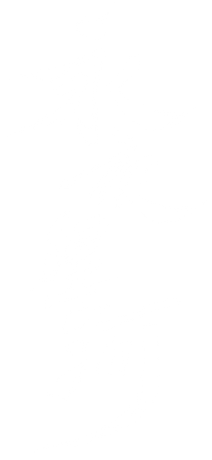 Ảnh 117
