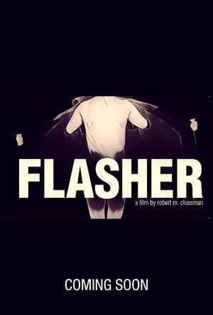 Flasher 