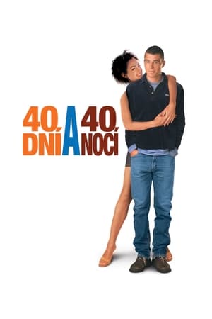 Poster 40 dní a 40 nocí 2002