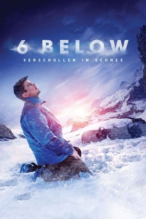 Poster 6 Below - Verschollen im Schnee 2017