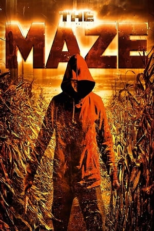 Image The Maze