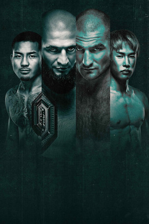 UFC 328: Chimaev vs Strickland 14