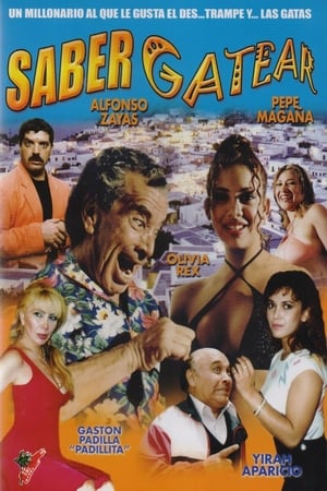 Poster Saber gatear (1995)