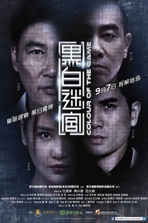 Poster 黑白迷宮 2017