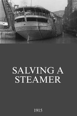 Poster Salving a Steamer 1915