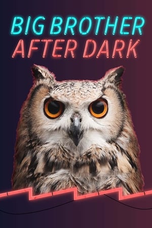 Poster Big Brother: After Dark Stagione 15 2013