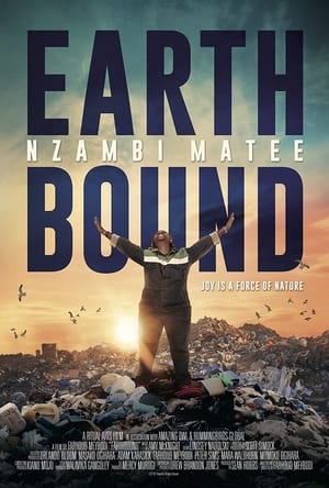 Image Earthbound: Nzambi Matee
