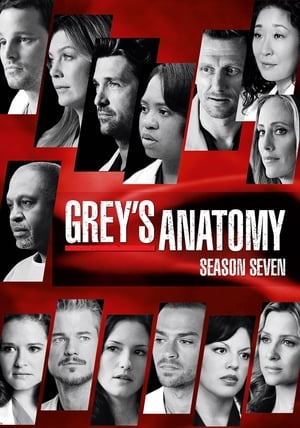 Grey's Anatomy: Staffel 7