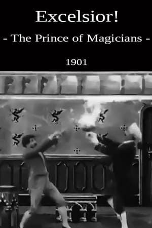 Poster The Prince of Magicians (1901)