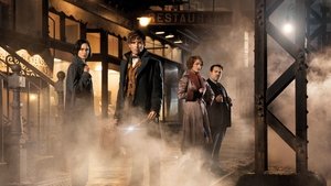 Fantastic Beasts and Where to Find Them (Animales fantásticos y dónde encontrarlos)