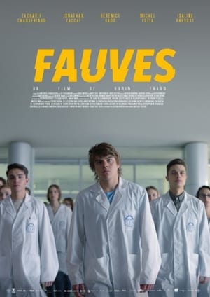 Poster Fauves 2017