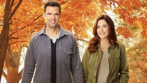 Falling for Vermont (2017), film online subtitrat în Română