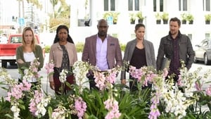 Rosewood 2×20