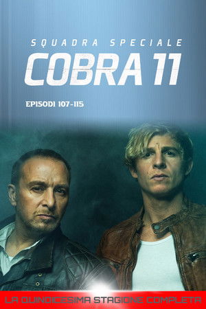 Squadra Speciale Cobra 11: Stagione 15