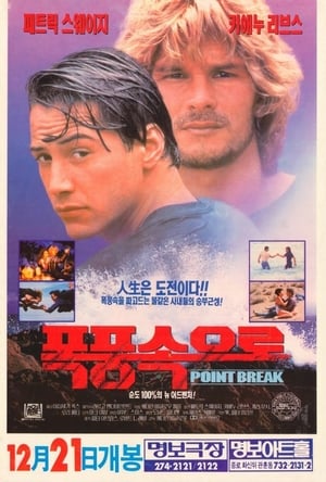 Poster 폭풍 속으로 1991