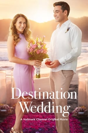 Poster Destination Wedding (2017)