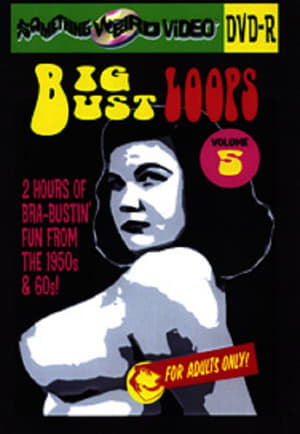 Poster Big Bust Loops Volume 5 2009