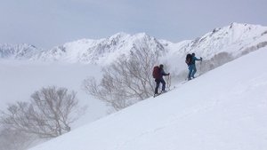 Journeys in Japan: 13×4