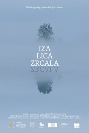 Iza lica zrcala (2016)