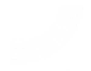 Baila Comigo — Logos 2