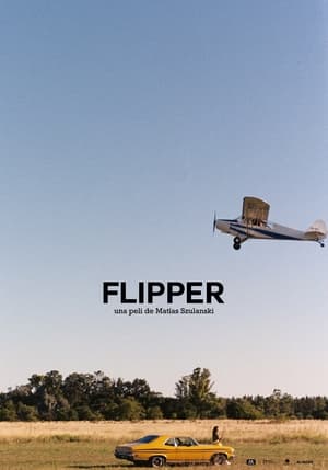 Poster Flipper (2021)