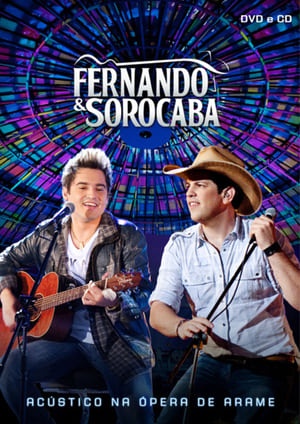 Poster Fernando e Sorocaba – Acústico 2010