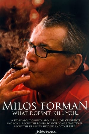 Poster Miloš Forman - What Doesn't Kill You… 2009