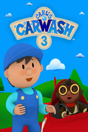 Carl's Car Wash 3