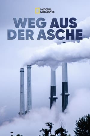 Image Weg aus der Asche