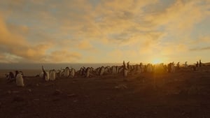 Un nouveau jour sur Terre