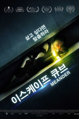 Poster 이스케이프 큐브 2021