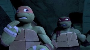 Teenage Mutant Ninja Turtles: 2×2