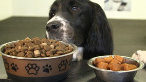 Ça vaut le coût: 6×5 {year} Online En Netflix