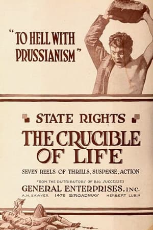 Poster The Crucible of Life (1918)