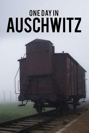 Image One Day in Auschwitz