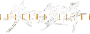 失而复得 — Logos 2