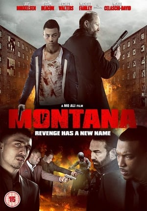 Montana film complet